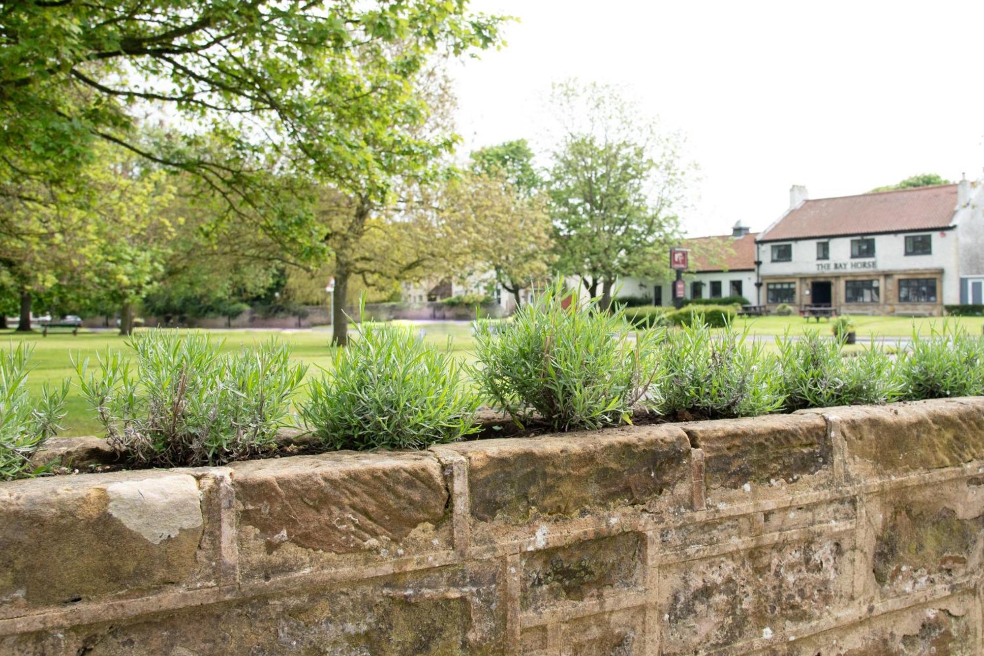 Work And Relax - Fast Wifi, Fireplace & Near Pub Newton Aycliffe Esterno foto